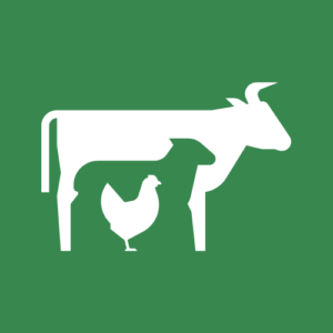 Livestock Exhibit Site